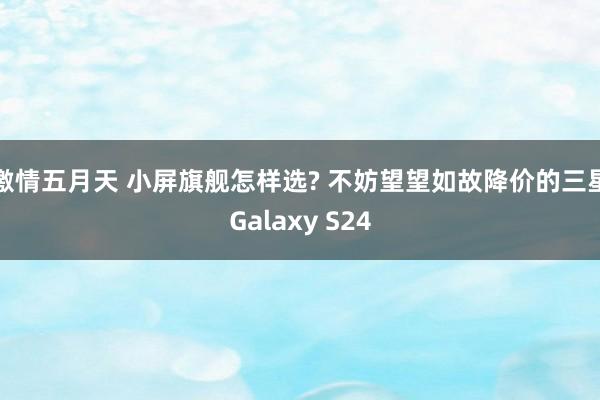 激情五月天 小屏旗舰怎样选? 不妨望望如故降价的三星Galaxy S24