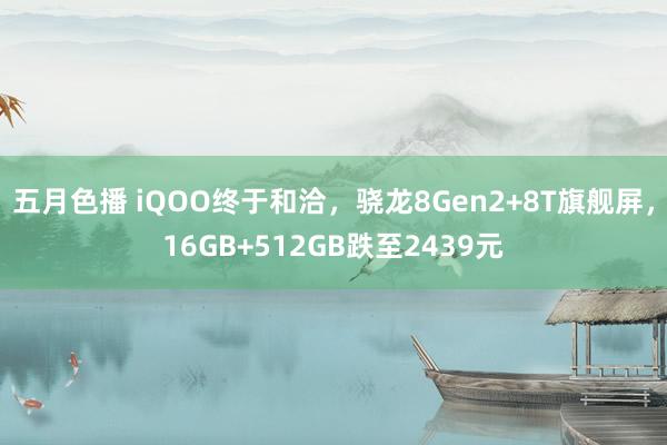五月色播 iQOO终于和洽，骁龙8Gen2+8T旗舰屏，16GB+512GB跌至2439元
