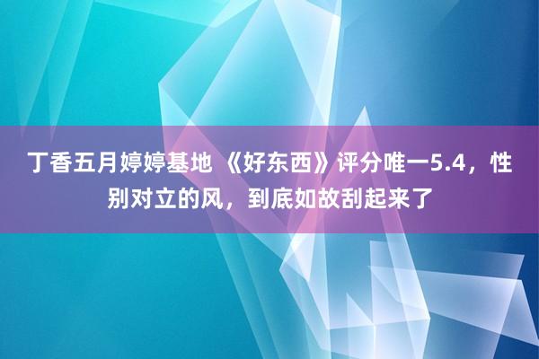丁香五月婷婷基地 《好东西》评分唯一5.4，性别对立的风，到底如故刮起来了