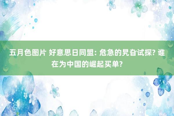 五月色图片 好意思日同盟: 危急的旯旮试探? 谁在为中国的崛起买单?