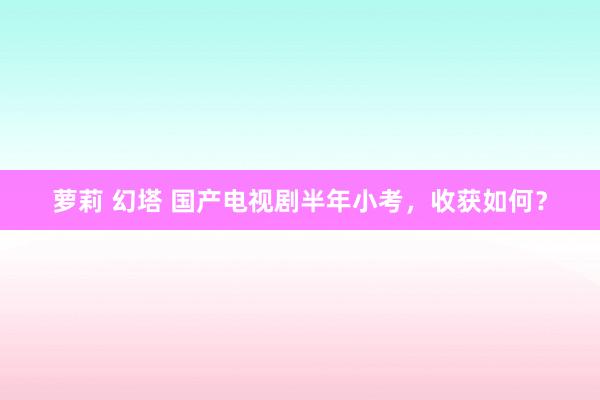 萝莉 幻塔 国产电视剧半年小考，收获如何？